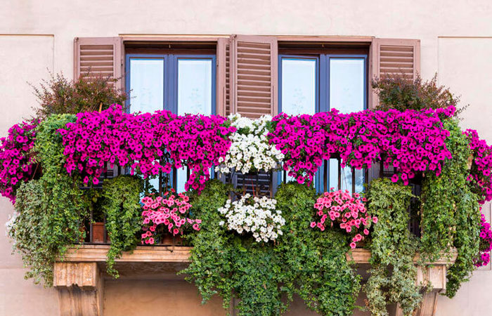 цветник на балконе