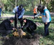 «Алматы – наш общий дом»: 1 марта в городе стартует масштабная кампания по благоустройству и озеленению