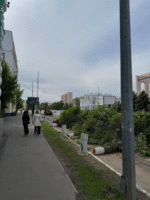 коммунальщики будут вырубать аварийные, многолетние и гнилые деревья